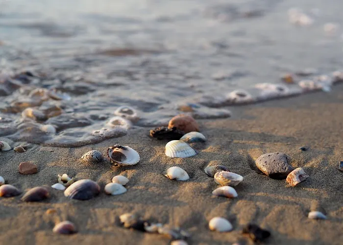 Modern One Bedroom Flat In - Beahost Daire